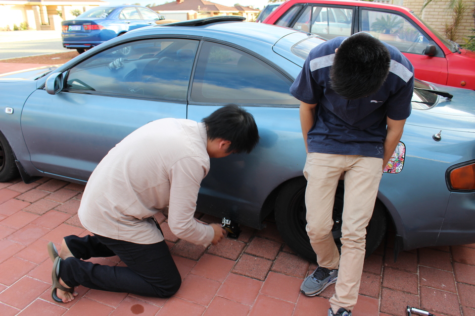 CELECA (No I didn't spell... - Photo 5