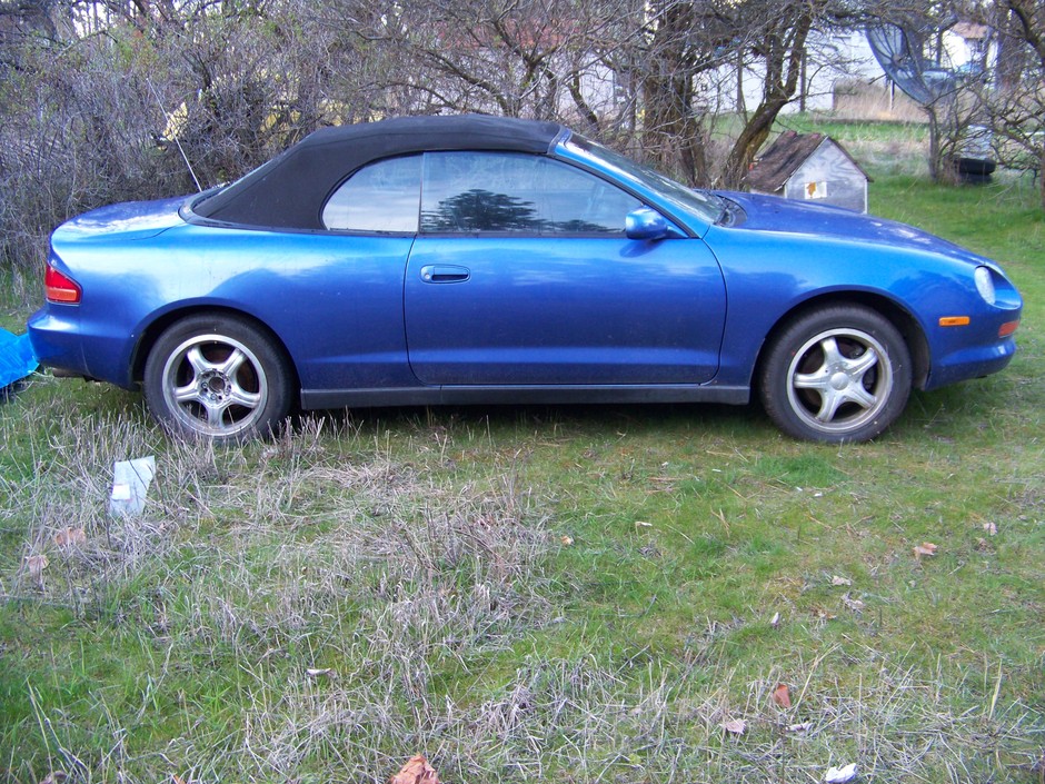 Bringing it back to life