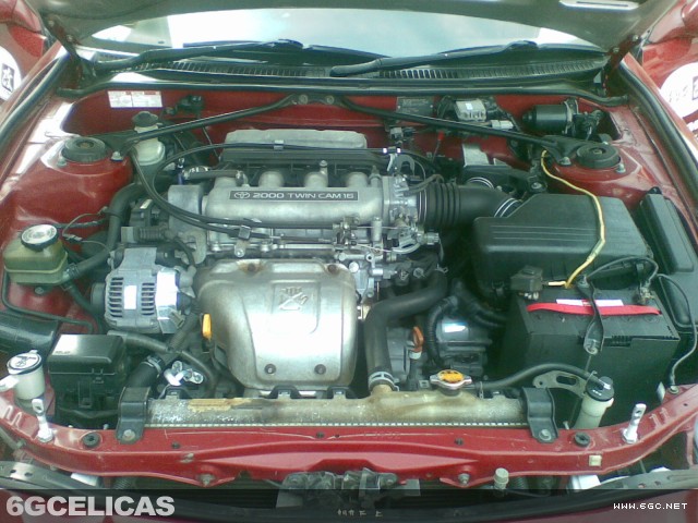 1994 SS-II Hatchback - Photo 3