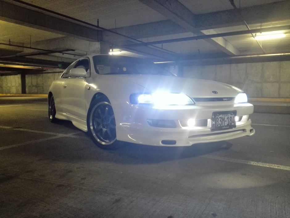 White eyes Curren - Photo 3