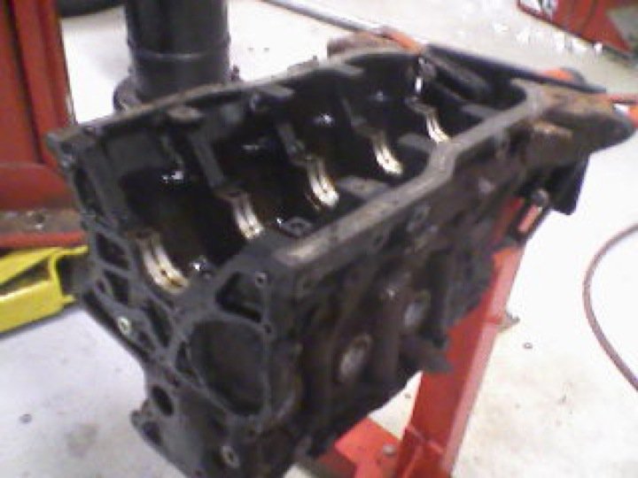 Qui-Ma-Xanh (Wi-Ma-Sun) - Photo 2