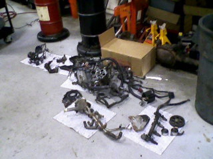 Qui-Ma-Xanh (Wi-Ma-Sun) - Photo 4