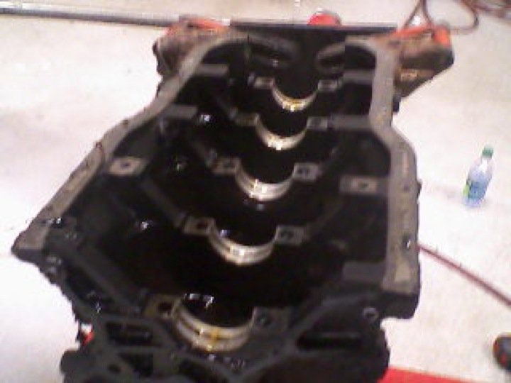 Qui-Ma-Xanh (Wi-Ma-Sun) - Photo 5