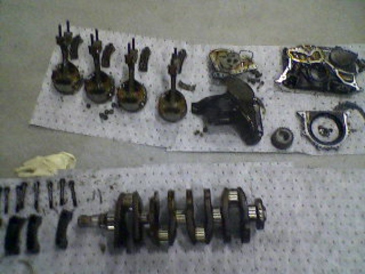 Qui-Ma-Xanh (Wi-Ma-Sun) - Photo 6