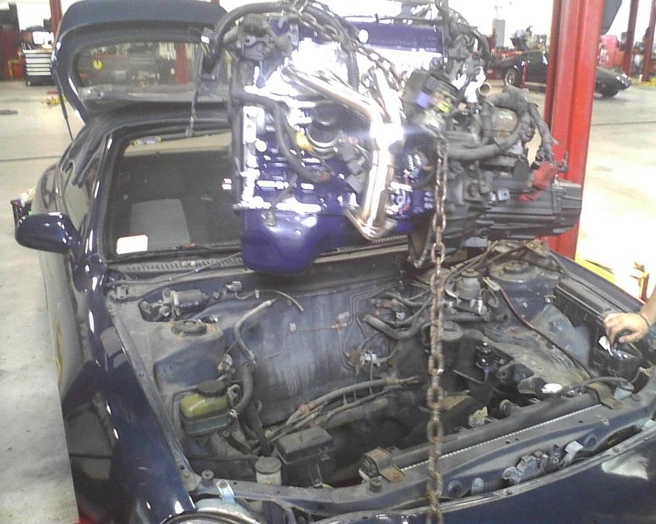 Qui-Ma-Xanh (Wi-Ma-Sun) - Photo 7