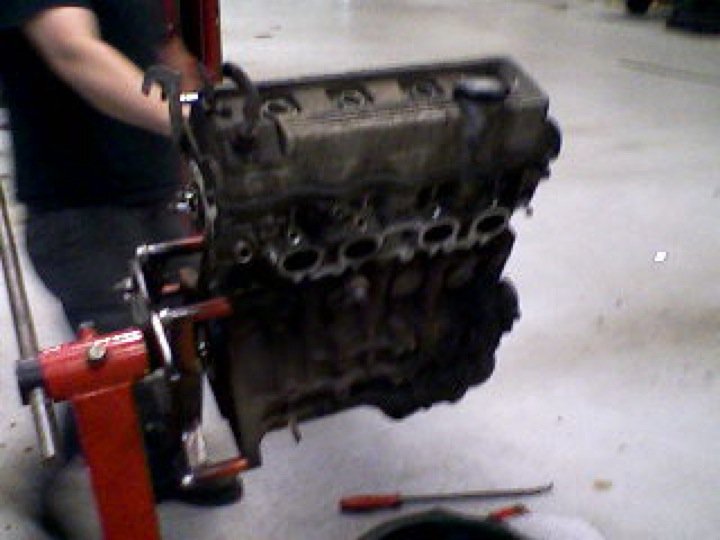 Qui-Ma-Xanh (Wi-Ma-Sun) - Photo 8