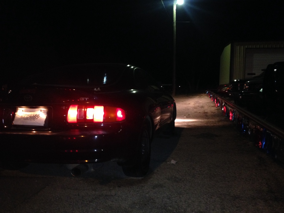 Don't have a name yet - Photo 5